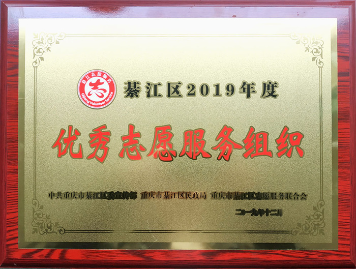 优秀志愿组织奖奖牌.jpg